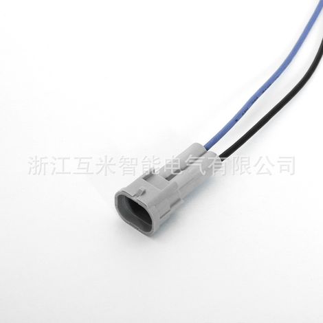 DJ7024Y-2-11/21 (Domestique) 6189-0060 est un connecteur modifié au méthanol pour les bouchons d'injecteurs de carburant. (1/4)