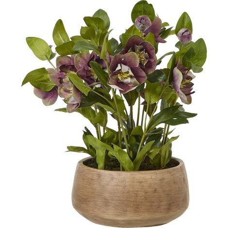 Deep Plum Hellebore Plant Pot - Plastic - L33 x W38 x H41 cm - Taupe