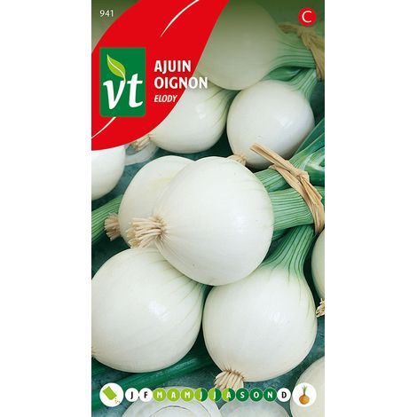 Oignon Elody - Ca. 4 gr (Livraison Gratuite) (1/2)