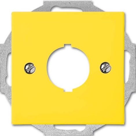 Placca di finitura Busch-Jaeger 2533-914-15 termoplastica lucida IP20