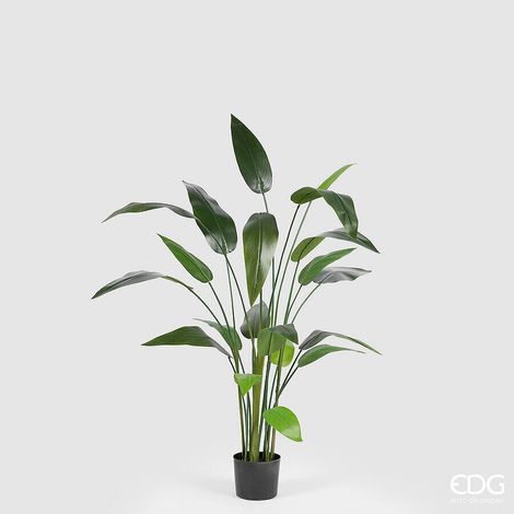 EDG Enzo De Gasperi Strelitzia x20 con Vaso H 152 Cm Pianta Artificiale Verde
