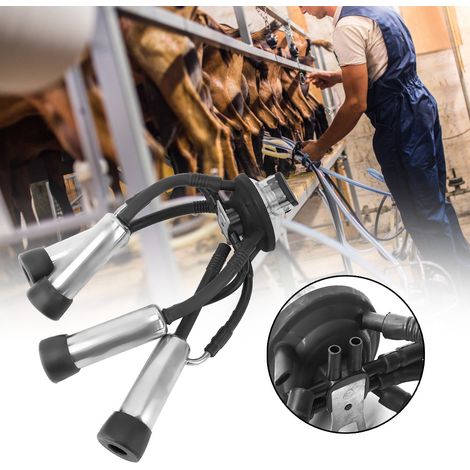 Ensemble de gobelets trayeurs pour machine à traire à pompe à vide de 240 cm³. (1/5)