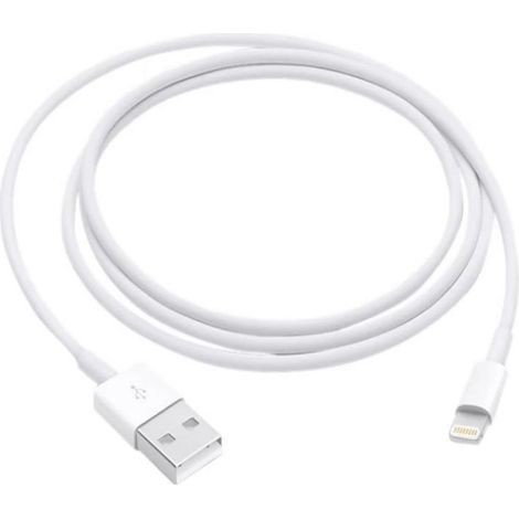 Lot de 2 chargeurs Lightning 1 m pour iPhone X/8/7/6S/6/5S/SE (1/4)