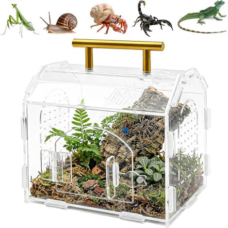 Terrarium à Insectes, Vivarium, Terrarium en Acrylique avec Fermeture magnétique, Portable, boîte d'alimentation pour Reptiles, araignées sauteuses, Geckos, escargots, Grenouilles (1/5)