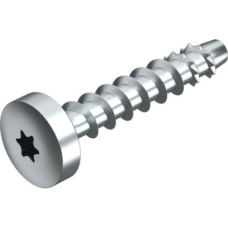 OBO Bettermann Anclaje de cabeza redonda con cabeza plana 6x50mm acero cincado, 3498108