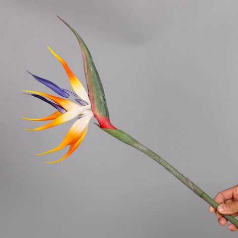 Composition florale artificielle Oiseau de Paradis et Hespérime, décoration intérieure