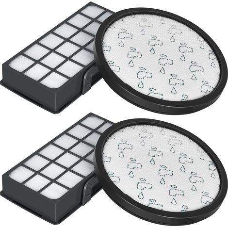 HEPA-Filter für Rowenta (1/5)