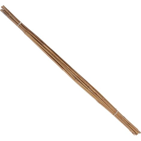 Tonkin-Pflanzstab Ø 8-10mm 120cm 10er Bund Floraworld (1/2)