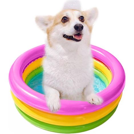 Pool für Haustiere, 60 x 25 cm, faltbar und tragbar – Haustierbedarf – für drinnen und draußen, Garten, Strand (1/5)