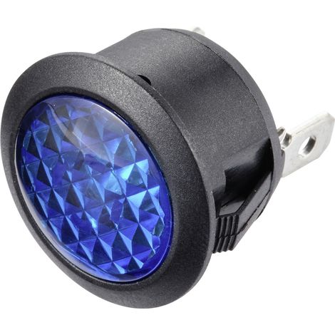 TRU COMPONENTS TC-11193672 Standard Signalleuchte mit Leuchtmittel 12 V/DC    Blau 1 St.
