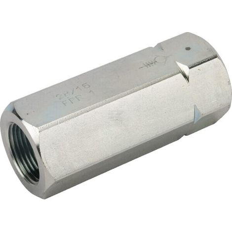Rückschlagventil G1" 10bar FLUIDPRESS LCV25005 (1/5)