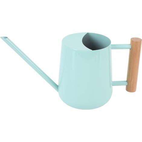 Arrosoir en acier inoxydable avec poignée en bois pour plantes succulentes type 1 (1/5)