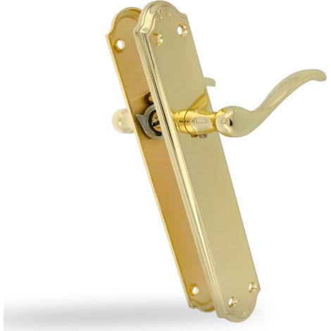 AMIG Poignées sur plaque ALFA 248 x 44 mm Acier / Zamak Laitonné (1/5)