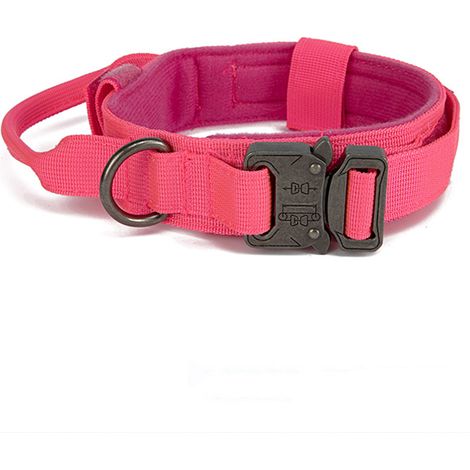 1 Collier chien, nylon haute densité, poignée contrôle, fermoir métal, anneau D, dressage moyenne grande taille (1/5)