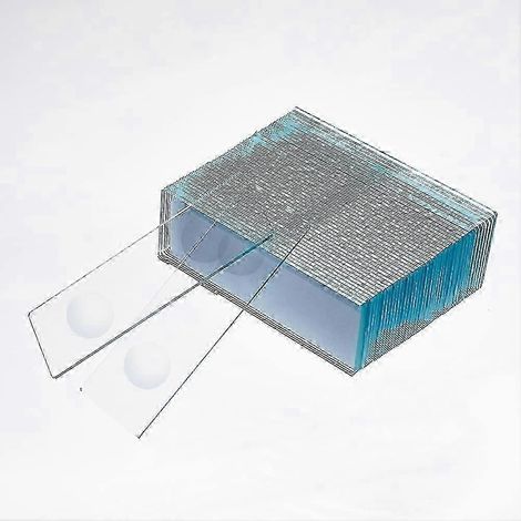 Paquet de 20 lames de microscope biconcaves, 76,5 x 25 mm, lames concaves en verre pré-nettoyées, compatibles avec le laboratoire. (1/5)