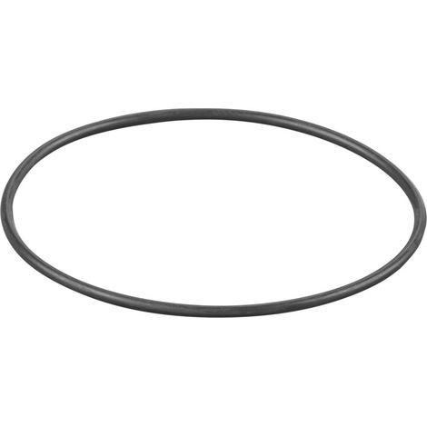 Rems O-Ring 060319