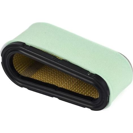 496894 Luftfilter mit Kraftstofffilter 394358 und Kraftstoffabsperrventil 494768 für 12,5-17 PS Einzylindermotoren (1/5)