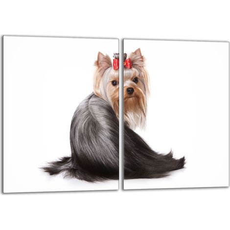Glasschutzplatte für den Herd 2x40x52 Hund (1/5)