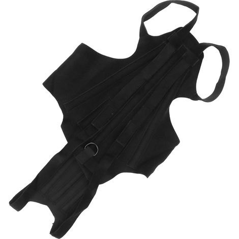 Ceinture lombaire pour chien - Récupération après une chirurgie de la colonne vertébrale - Hernie discale - Attelle dorsale pour chiens souffrant d'arthrite - Taille L (1/5)