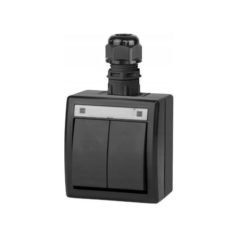 Interrupteur double Aquant 2K - Anthracite - IP65 - Étanchéité de haute qualité - Construction robuste (1/4)