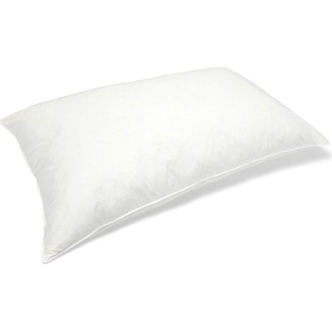 Couette en duvet d'oie 50 x 80 cm - Oreiller pour lit avec tissu 100 % coton et rembourrage en duvet d'oie blanche (1/4)