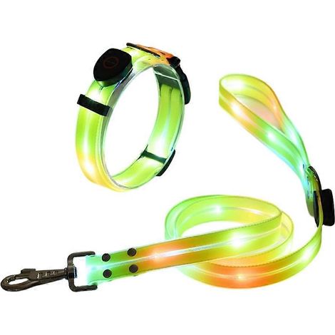 Wasserdichte LED-Hundeleine, USB-aufladbar, phosphoreszierend, Sicherheitszubehör für nächtliche Spaziergänge für mittelgroße bis große Hunde. (1/5)