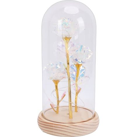 Décoration florale lumineuse en forme de rose sous cloche en verre avec éclairage LED, idéale pour un anniversaire ou Noël. 3 roses + couvercle en verre + socle en bois + lumière chaude. (1/5)