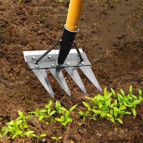 4 dents Berthaus Outil Râteau pour Herbes, Râteau à Herbes pour Jardinage, Râteau en Fer pour Éliminer les Herbes, Râteau pour Jardin, Outil à Désherbage Double Face (1/4)