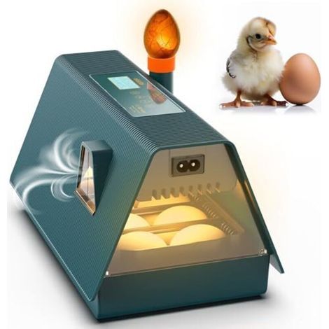 Incubateur entièrement automatique - Idéal pour tous les âges - Incubateur pour poulets avec retournement des œufs et contrôle de l'humidité - Lampe à œufs intégrée - 10 œufs - Okkobi M10 - Vert et or (1/5)