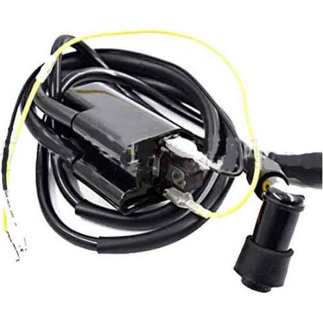 Pour Suzuki GSF1200 GSF600 GSF400 Bandit (1996-2004) Bobine d'allumage 12V