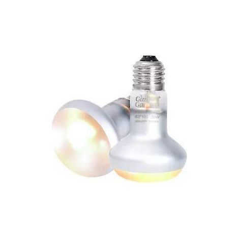 Lampe chauffante UVA pour reptiles géants Giangarden 100W ( ) (1/5)