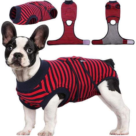 Dog Cat Recovery Suit for Dogs Cats After Surgery Abdominal Wounds Protection / Skin Disease Alternative to Electronic Pet Collar (1/5)