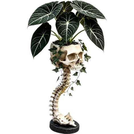 Pot de fleurs crâne résine sculpture gothique squelette argenté, décoration bureau maison jardin bar, pot vintage Halloween pour succulentes blanc (1/5)