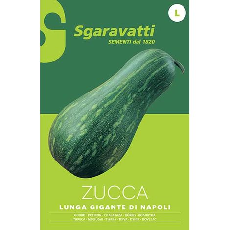 Semi per Ortaggi e Vegetali Zucca Lunga Gigante di Napoli 20 Pezzi (1/2)