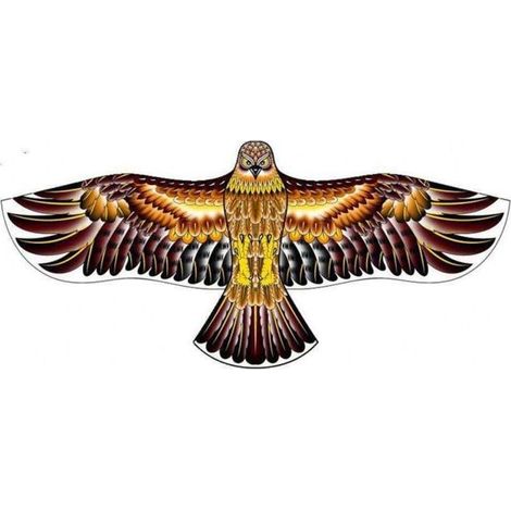 Effaroucheur d'oiseaux cerf volant faucon (1/3)