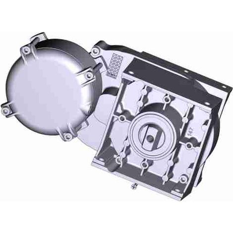 Motoriduttore Motore Elettrico Per Automazione Sw2 Ricambio CAME 119RIP156
