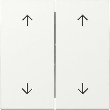 Gira WIPPE 2F PFEILE RWS M (329727 SYSTEM 55)