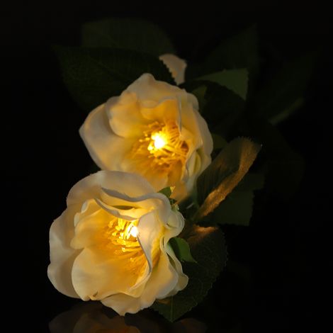 Lampe solaire LED en forme de fleur de camélia pour jardin, pelouse et aménagement paysager (blanc chaud) (1/5)