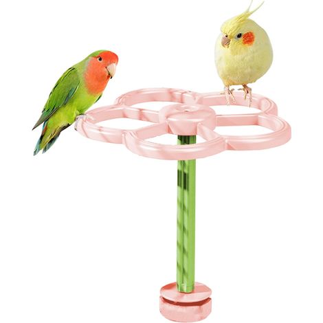 Perchoirs pour cage à oiseaux - Moulin à griffes pour perroquets - Cage à (1/5)