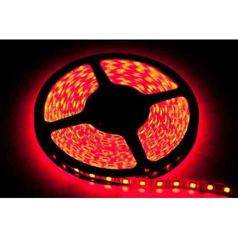 Ruban LED rouge SMD 5 m 24 W 12 V Eko-Light EKPL9168