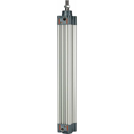 Riegler Normzylinder, doppeltwirk., Magnet, Kolben-Ø 125, Hub 400, G 1/2 (1/3)