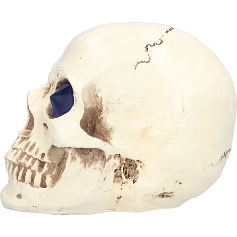 Totenkopf-Ornamente – lebensecht, leicht und einfach zu reinigen – für gruselige Halloween-Atmosphäre – ideal als Party- und Spukhausdekoration (1/5)