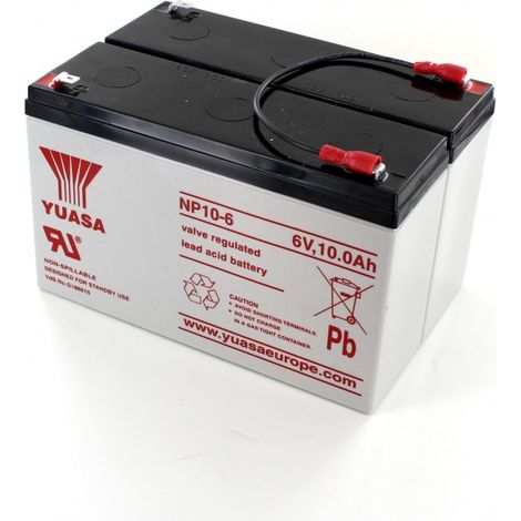 Batterie Plomb Yuasa 12V 10Ah NP10-12
