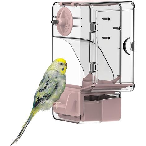 Mangeoire Automatique pour Oiseaux, mangeoire à Cage à Oiseaux avec perchoir Support Multifonctionnel pour Fruits et légumes pour perruches, canaris, calopsittes, pinsons (Rose) (1/4)