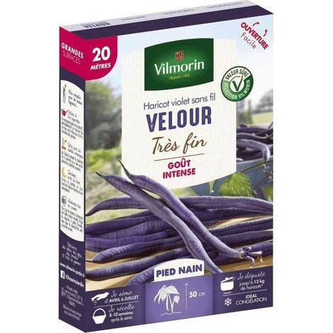 Graines de Haricot nain mangetout VELOUR 20 mètres