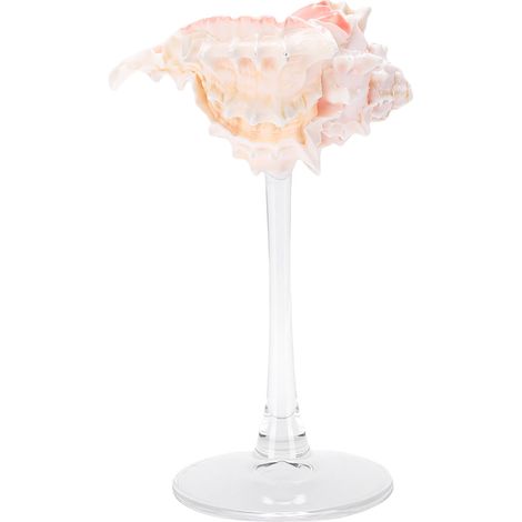 Verre à vin Coquillage Artisanal Verre Long Pied Décoration Table Boisson Froide Rouge Unique Fait Main Élégant (1/5)