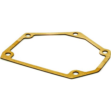 Guarnizione pompa carburante per FENDT MF F119200710030