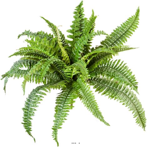 Fougère de Boston 26 feuilles D 50 cm artificielle en piquet - dimhaut: H 50 cm - couleur: Vert
