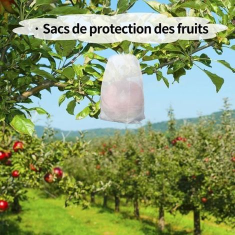 Sac de Semis Biodegradable, 300 Pièces Sacs à Plante Non Tissés Sacs de Plantation de Jardin Adapté Aux Légumes, Tomates, Raisins - (1/4)