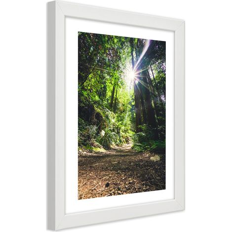 Quadro con cornice, Sentiero nel fitto della foresta - 20x30 (1/5)